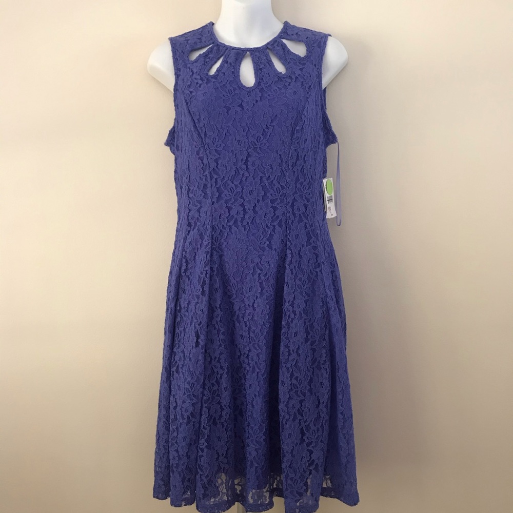 NWT Danny and Nicole dress